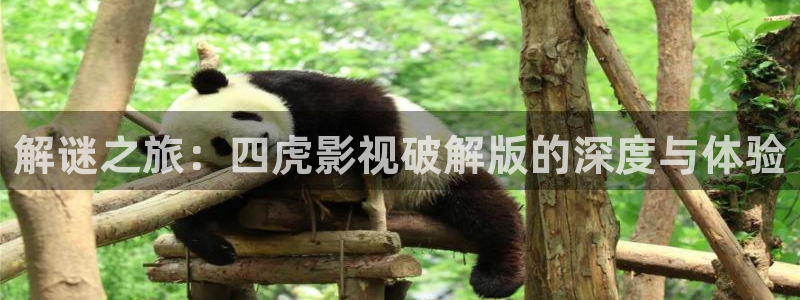 爱丫爱丫高清电视剧免费观看：解谜之旅：四虎影视破解版的深度与体验