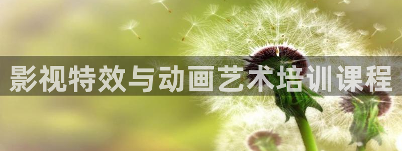 爱丫爱丫免费高清电视剧大全：影视特效与动画艺术培训课程