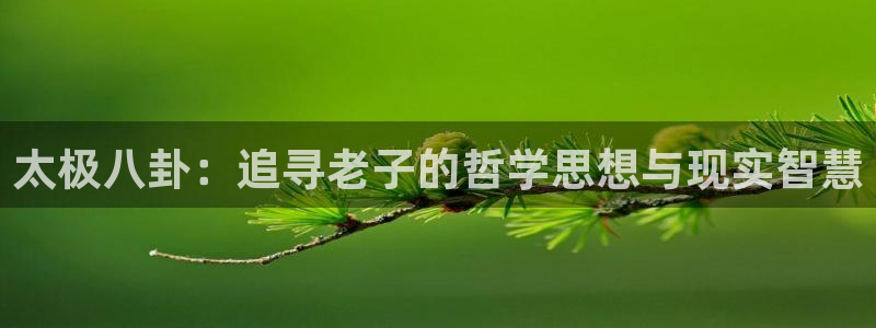 爱丫爱丫影院电视剧免费播放高清：太极八卦：追寻老子的哲学思想与现实智慧