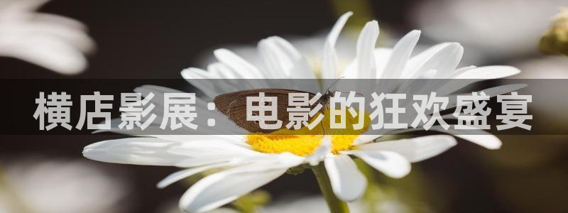 爱丫爱丫在线影院电视剧免费动漫欧美：横店影展：电影的狂欢盛宴