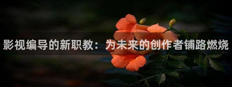 爱丫爱丫兄妹影院电视剧在线观看：影视编导的新职教：为未来的创作者铺路燃烧