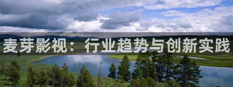 爱丫爱丫影院电视剧在线播放：麦芽影视：行业趋势与创新实践