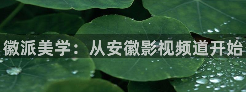 爱丫爱丫免费观看高清电视剧网：徽派美学：从安徽影视频道开始