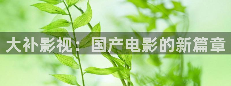 爱丫爱丫影院电视剧全集在线观看：大补影视：国产电影的新篇章