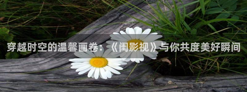 国产剧爱丫爱丫免费观看：穿越时空的温馨画卷：《闺影视》与你共度美好瞬间