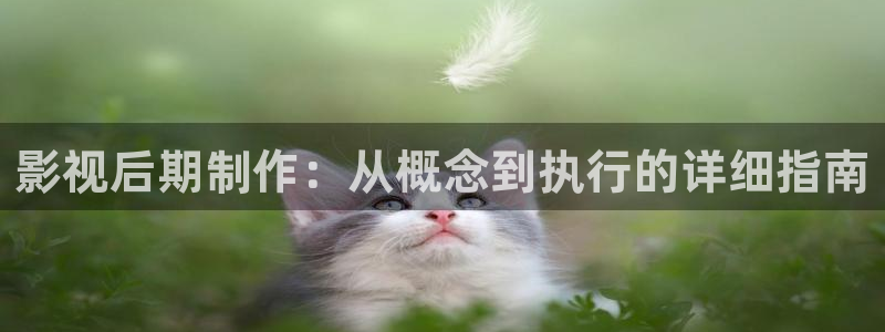 爱丫爱丫电视剧在线观看免费播放动：影视后期制作：从概念到执行的详细指南