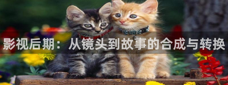 爱丫爱丫免费高清电视剧在线播放波：影视后期：从镜头到故事的合成与转换
